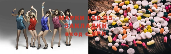 трава Белокуриха