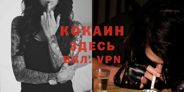 трава Белокуриха