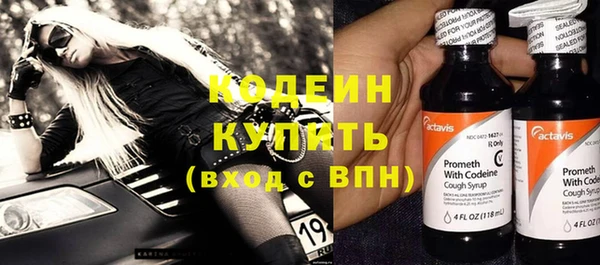трава Белокуриха