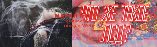 трава Белокуриха